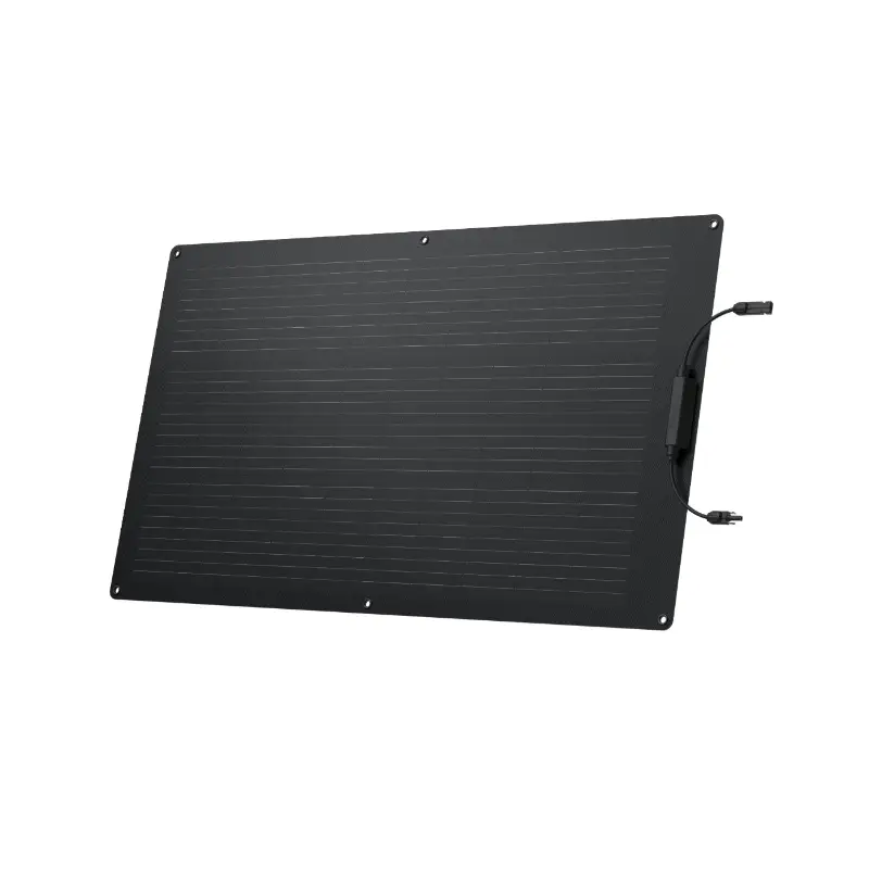 Offre Du Jour ECOFLOW Panneau solaire Flex 100 W