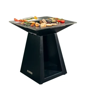 BRASERO QUADRO M CARBON+ PLAQUE CUISSON Dernière Chance