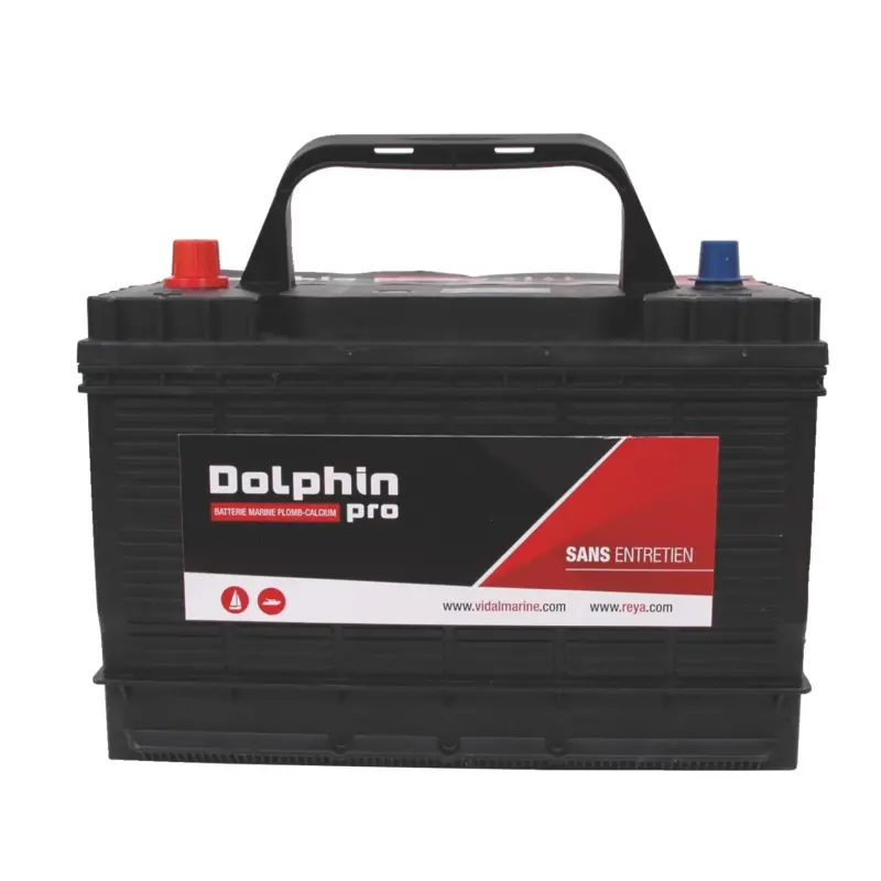 Batterie mixte 12V Pro Dolphin Prix Promo