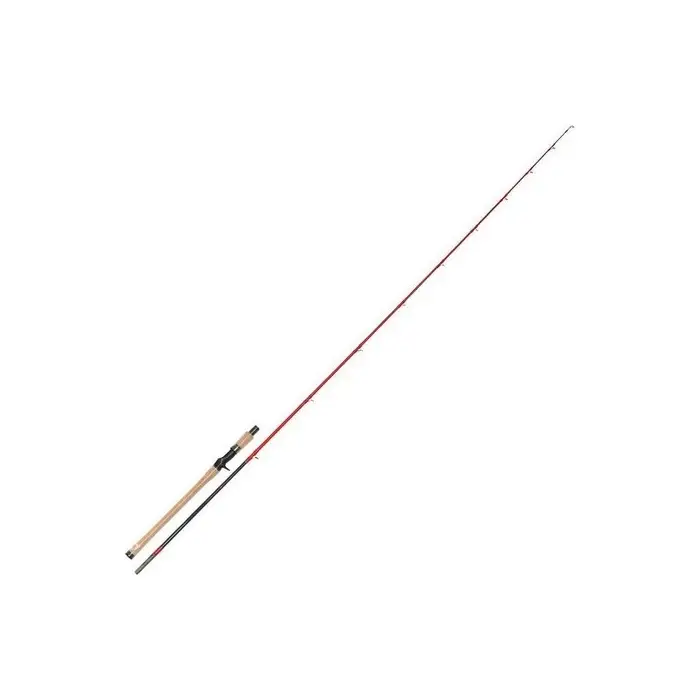 Canne Casting TenRyu Injection BC 80 XXh Dernière Chance