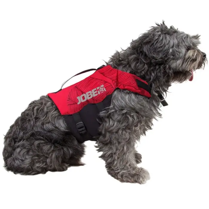 Achat Immédiat Gilet Jobe pour chien | Rose | XS