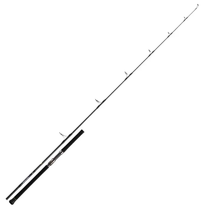 Dernier Modèle Canne spinning Daiwa Saltiga Casting