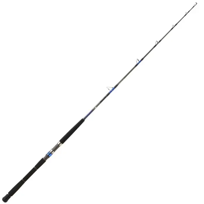 Nouveauté Canne à pêche Daiwa Saltiga Deep EX