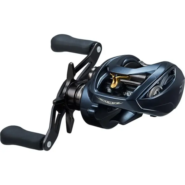 Petit Prix Moulinet Casting Daiwa Steez A Tw 23