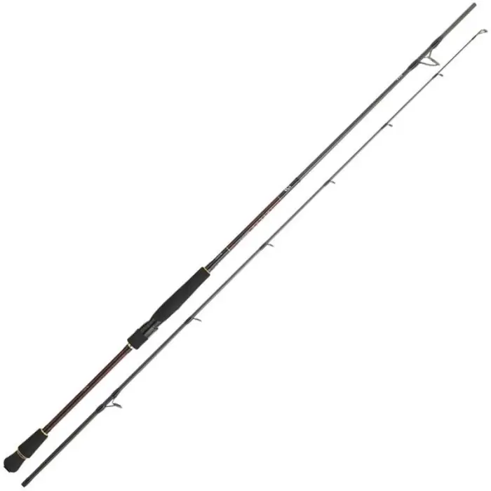 Canne Spinning Daiwa Infeet Seabass Quantité Limitée
